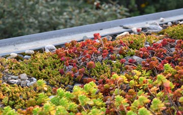 the cost of Coombe Keynes green roof installation