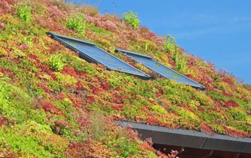 Coombe Keynes living roof systems